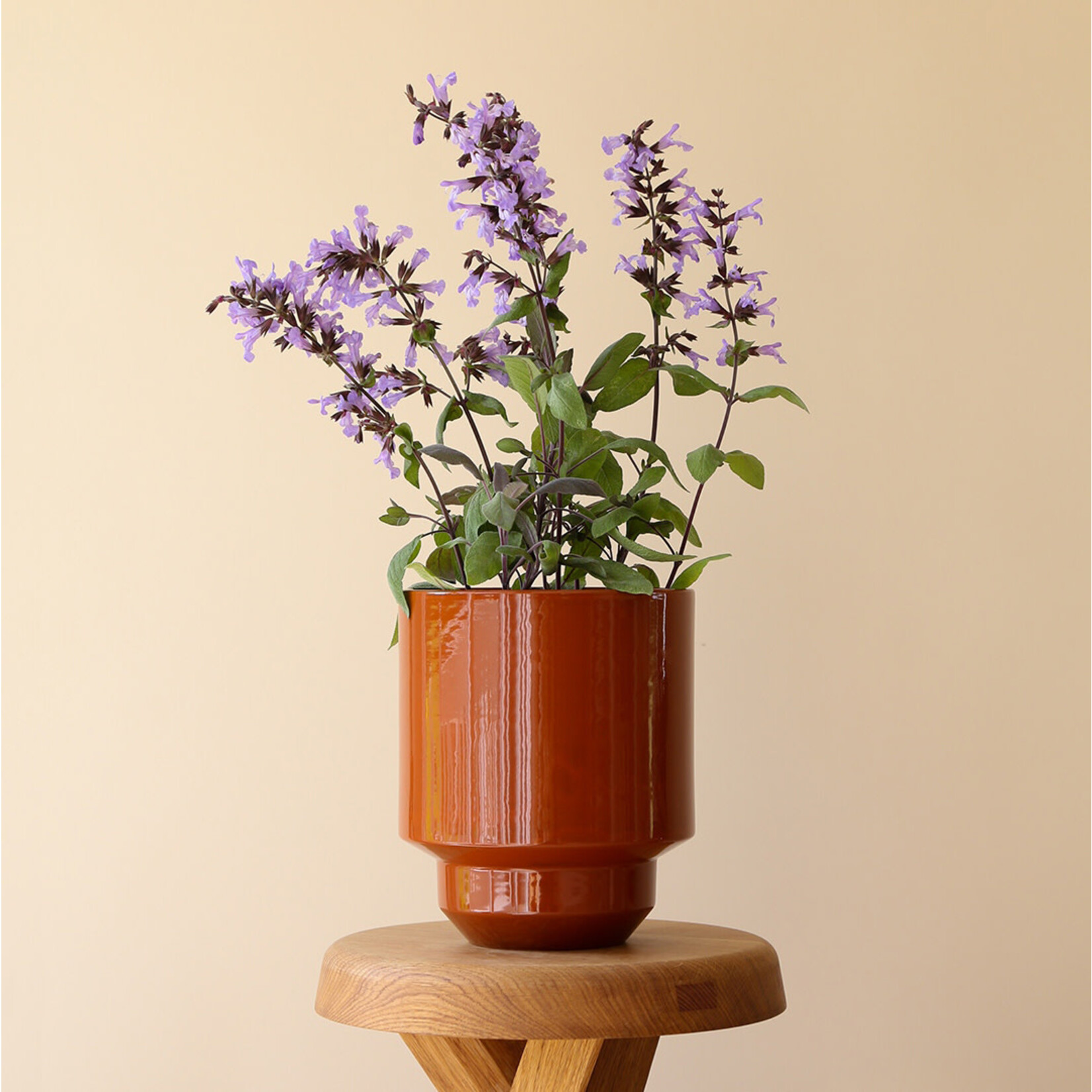 Bergs Potter Hoff pot rusty red - Ø13