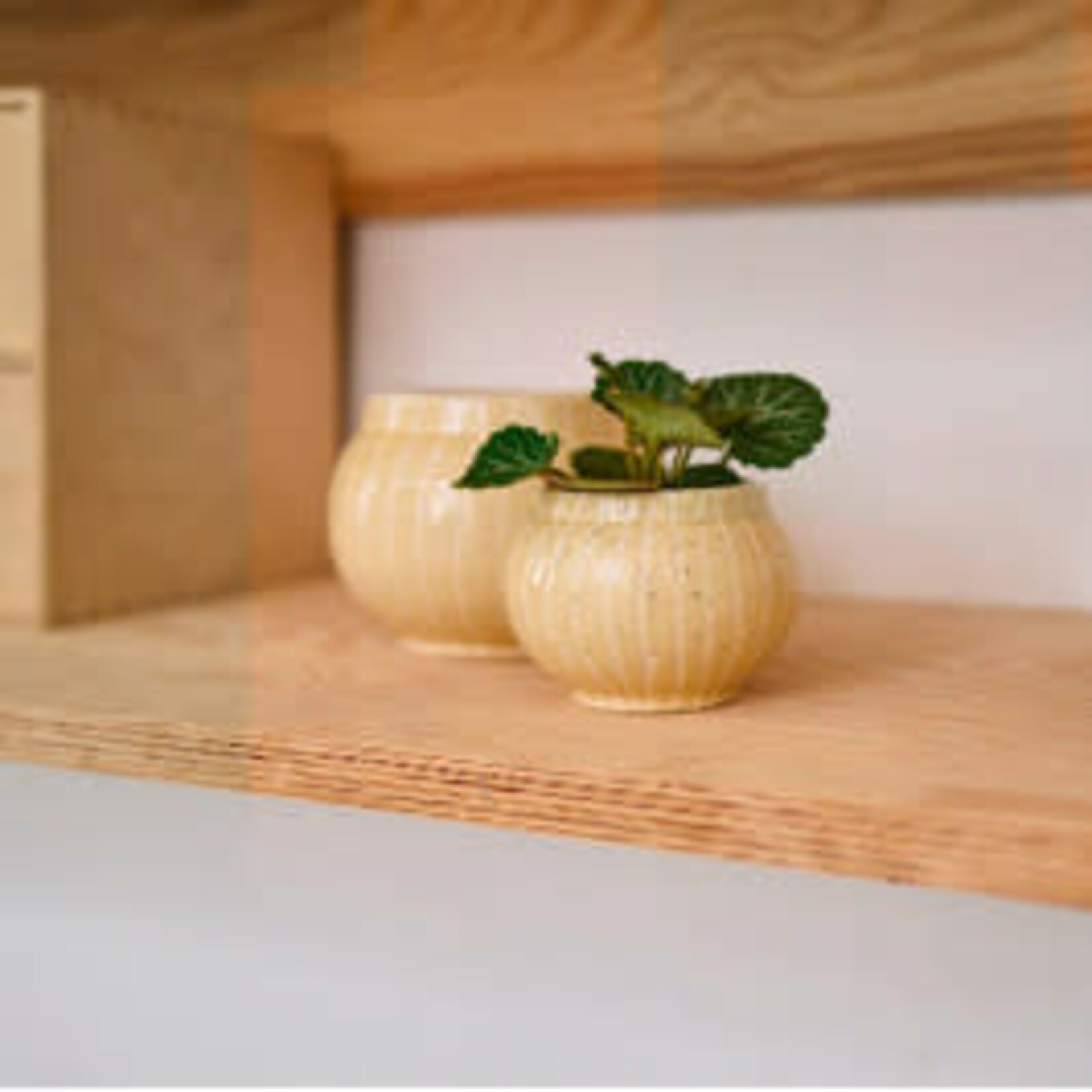 D&M Depot Viola boter - Ø6