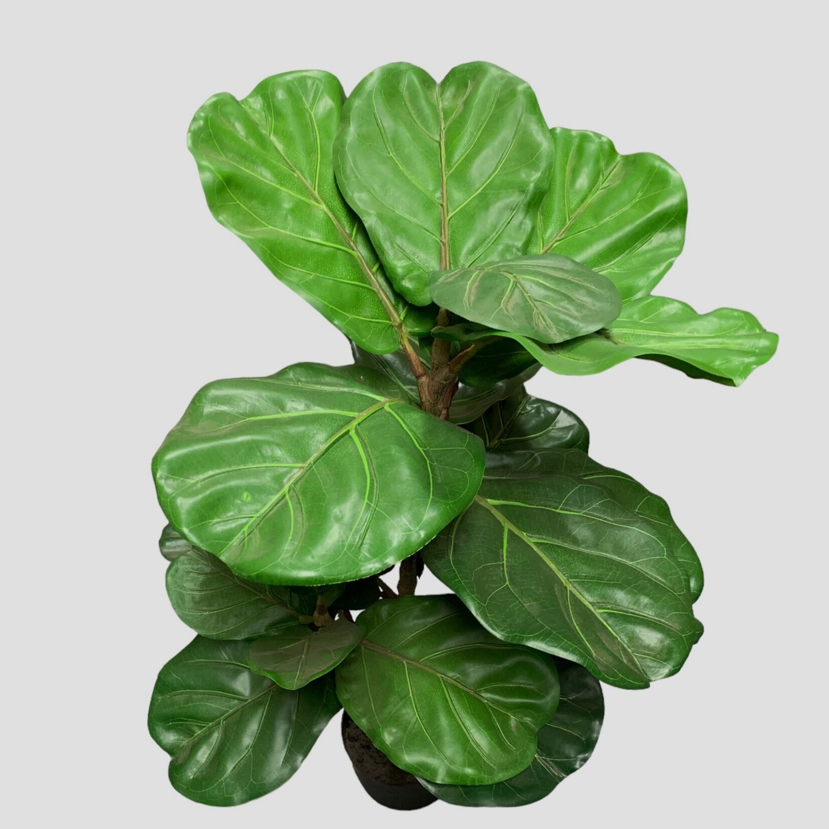 Kunstplant ficus