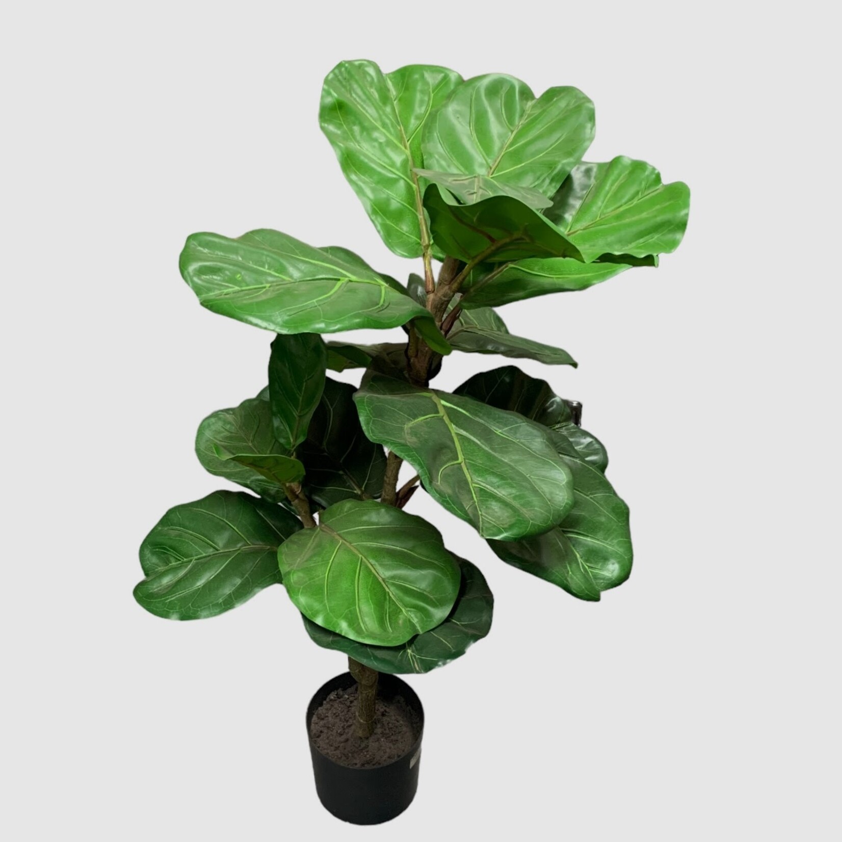 Kunstplant ficus