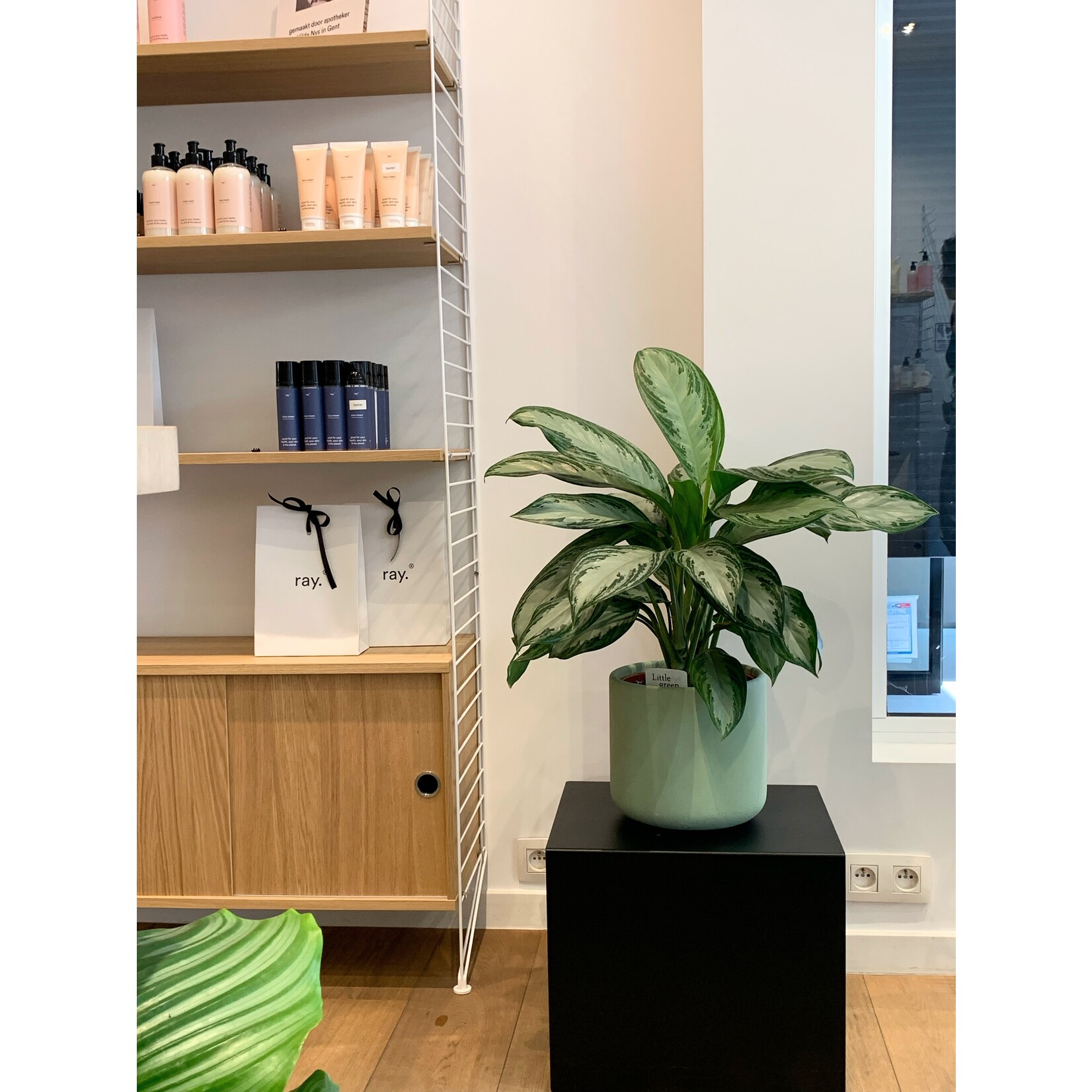 Blokko Pastel green  M - Ø17