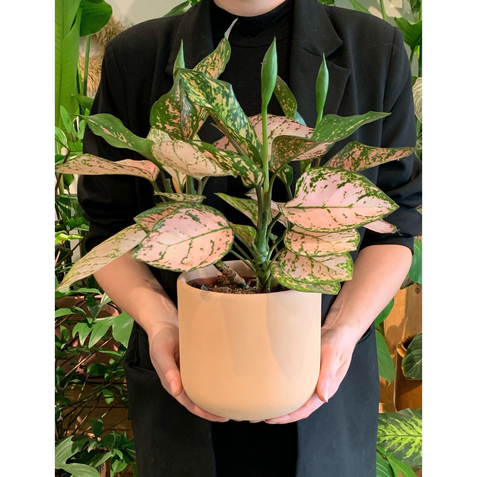 Blokko Peach orange  M - Ø17