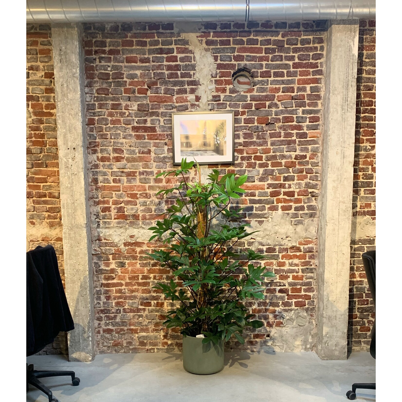 Blokko Jungle green XXL - Ø31