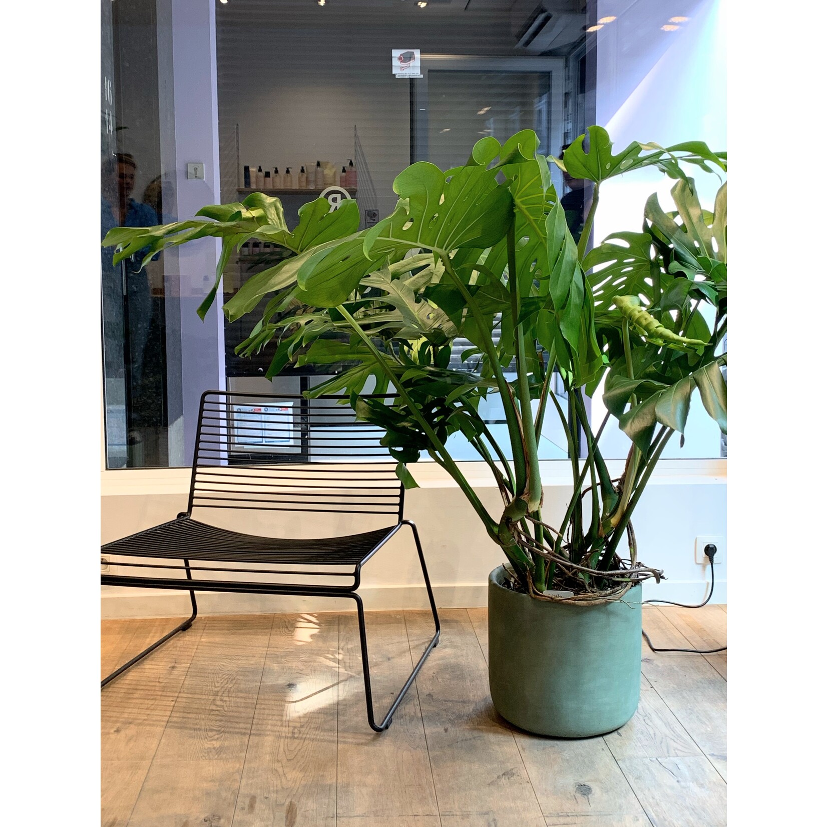 Blokko Jungle green XXL - Ø31