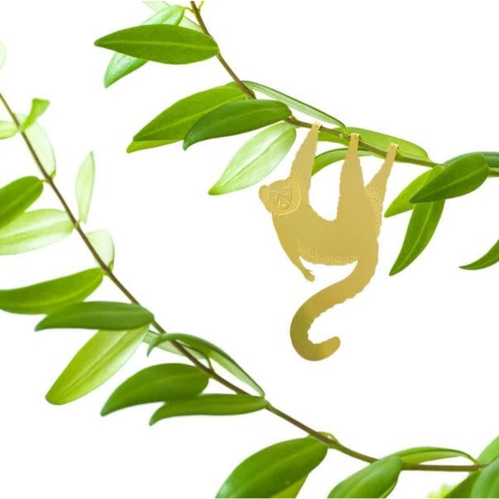 Another Studio Plant animal