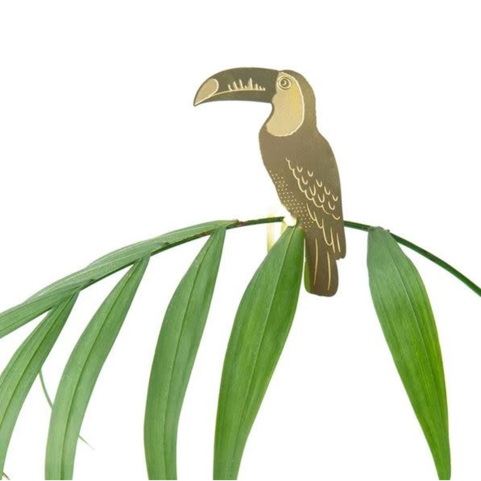 Another Studio Plant animal