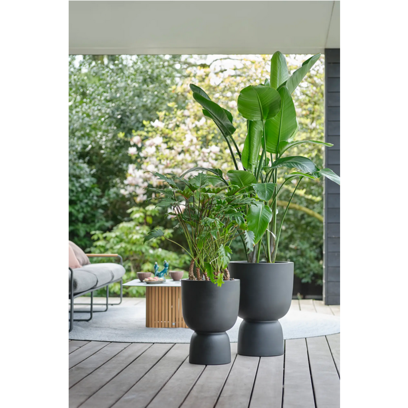 Elho Coupe zwart XL - Ø34