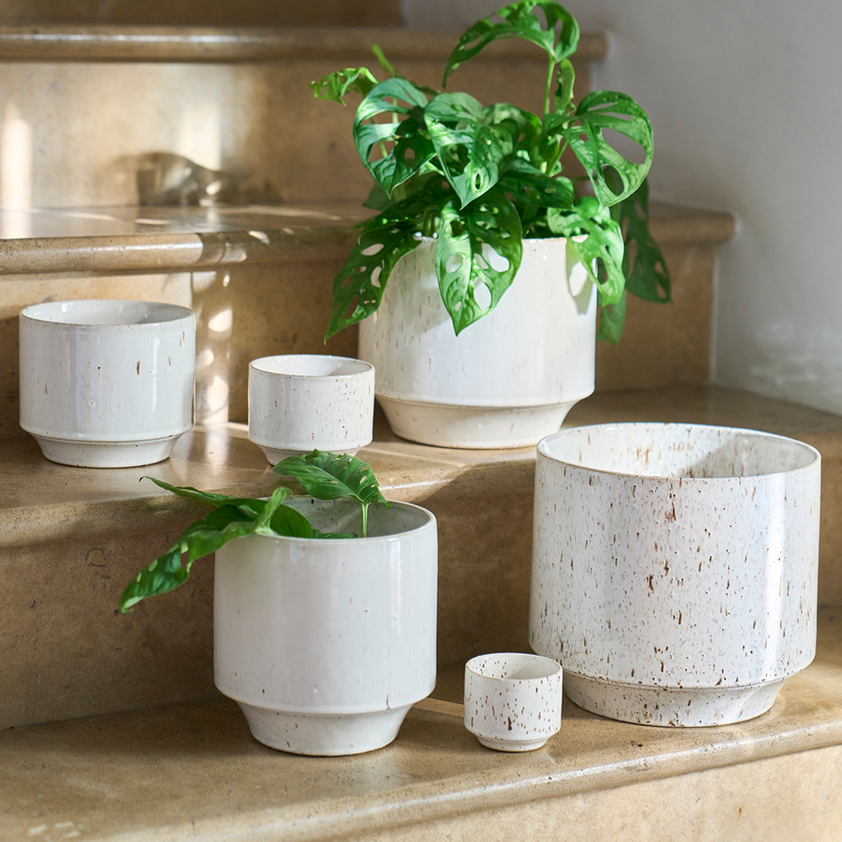 D&M Depot Java wit - Ø09,5