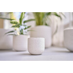 D&M Depot Lily wit - Ø8