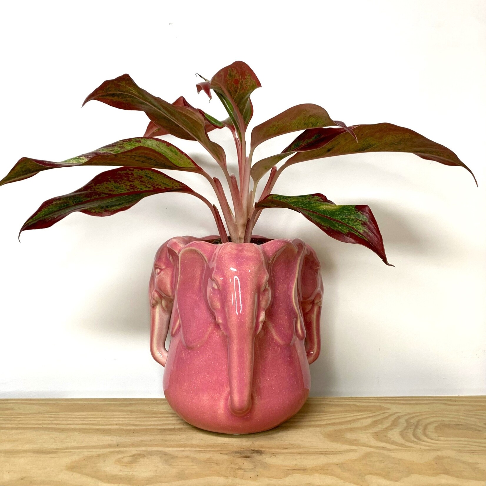 Bloomingville Pontus vaas roze olifant - Ø09