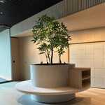 Kunstplanten