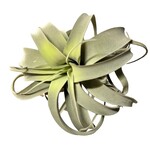 Kunstplant Tillandsia