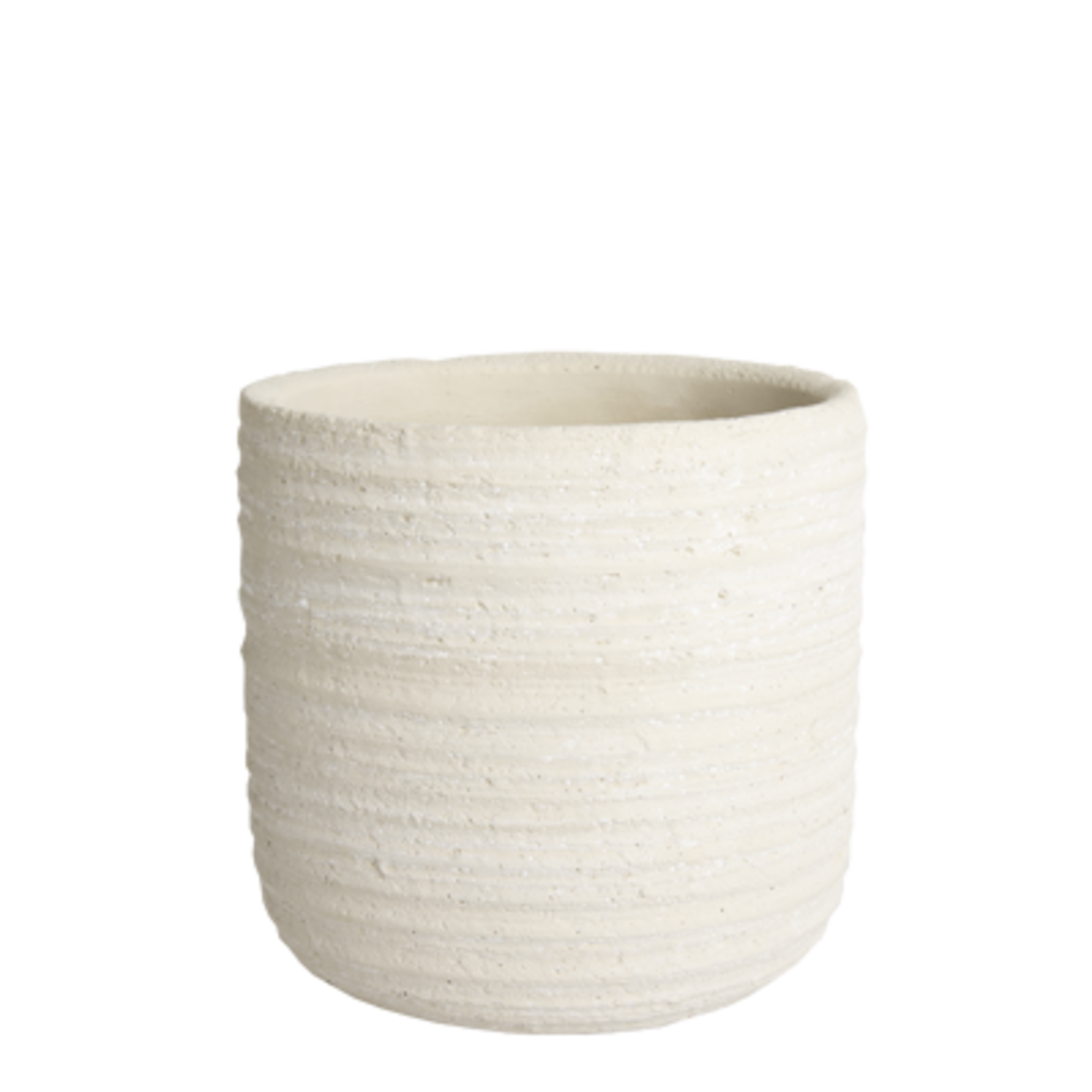 D&M Depot Primrose - Ø12