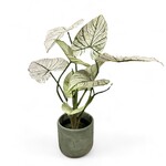 Kunstplant caladium