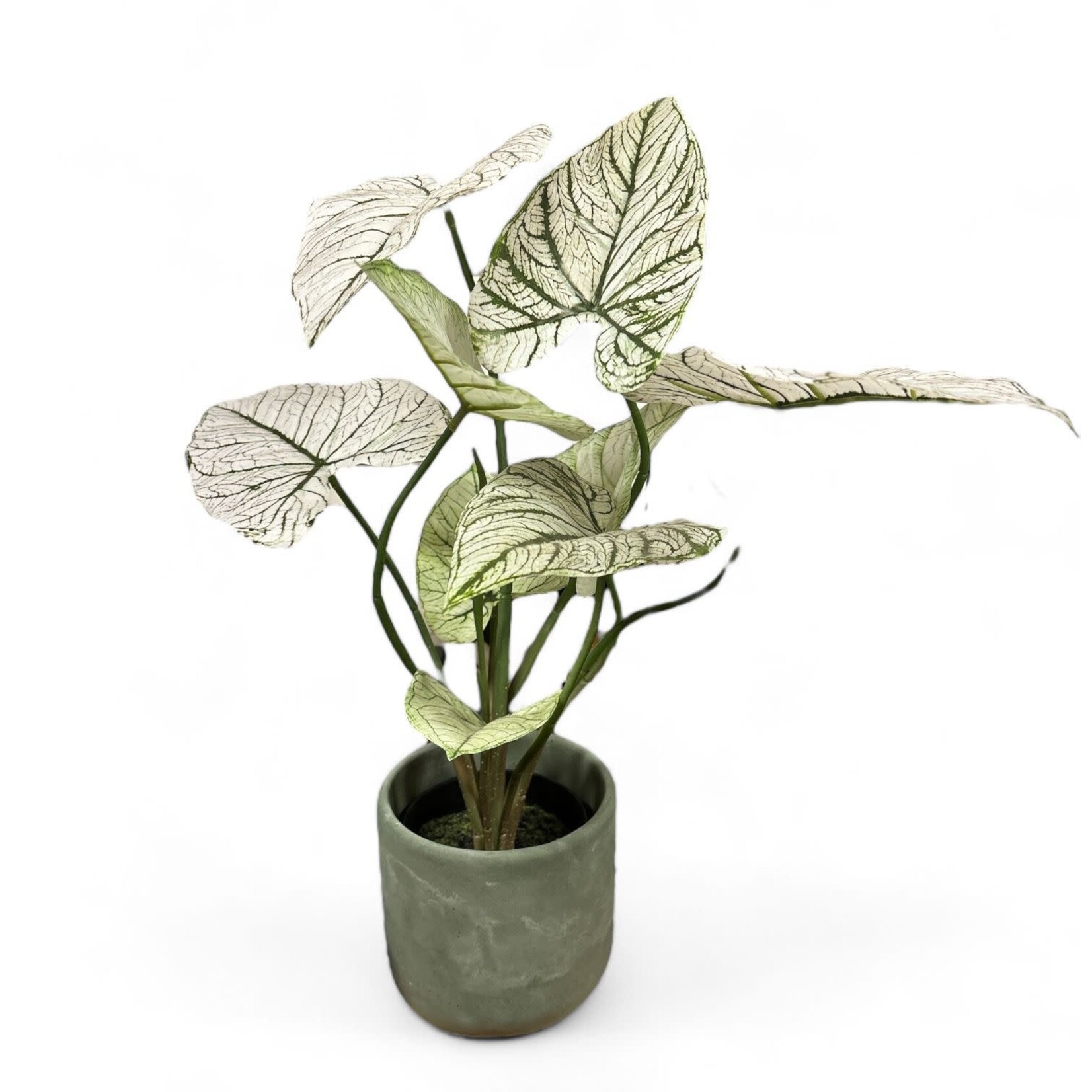 Kunstplant caladium