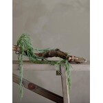 Kunstplant Hoya linearis