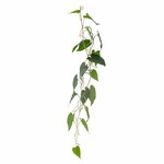 Kunstplant scandens