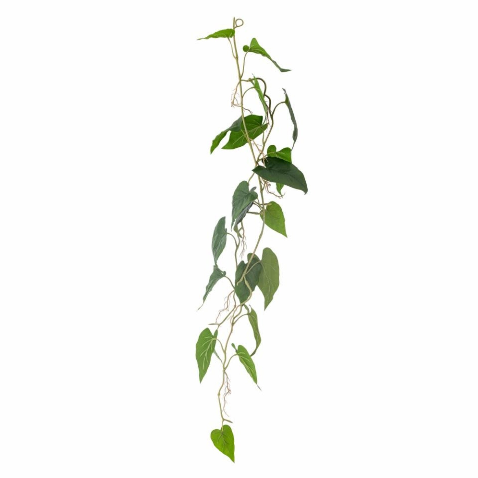 Kunstplant scandens