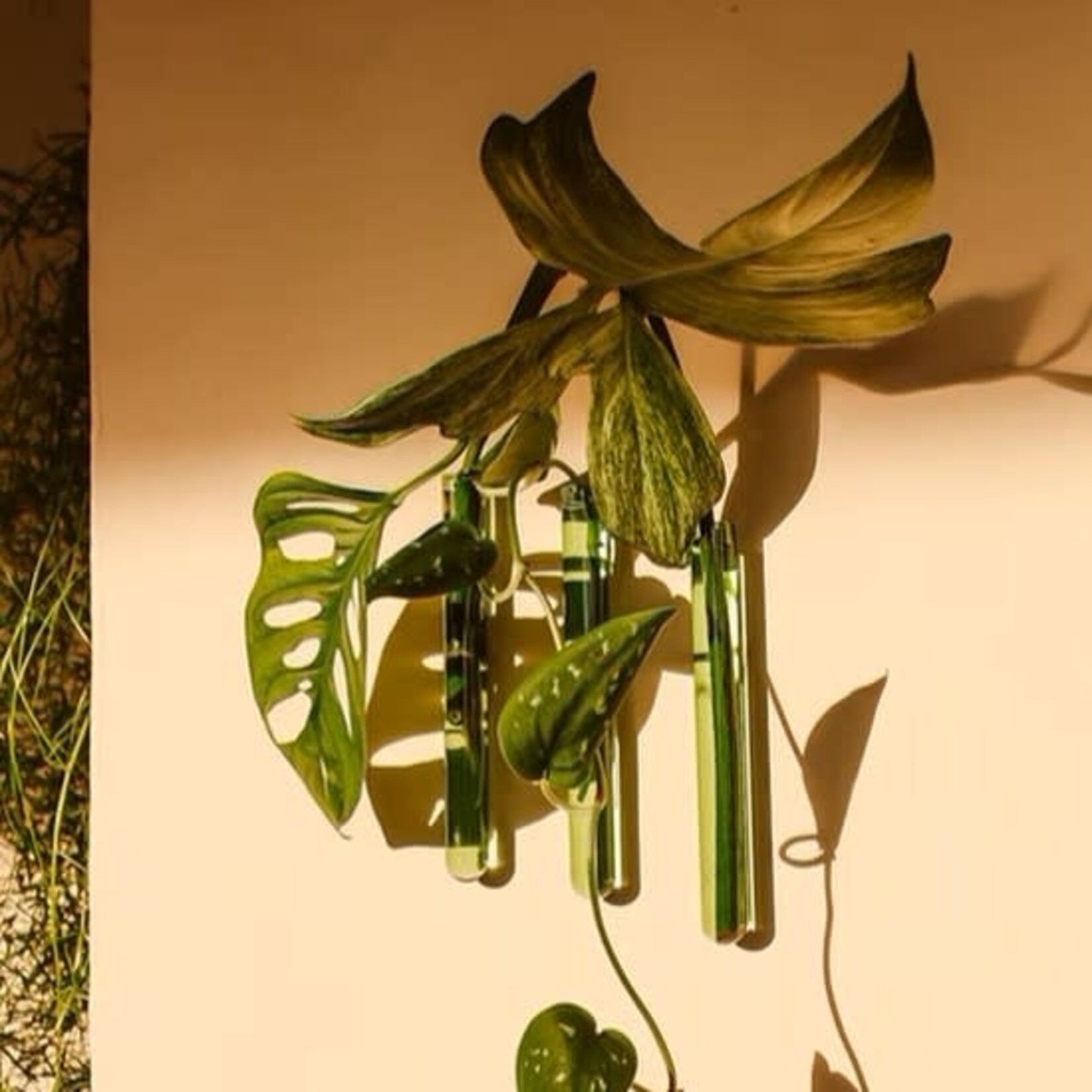 Muurbloem Muurvaasje 3 stuks - groen