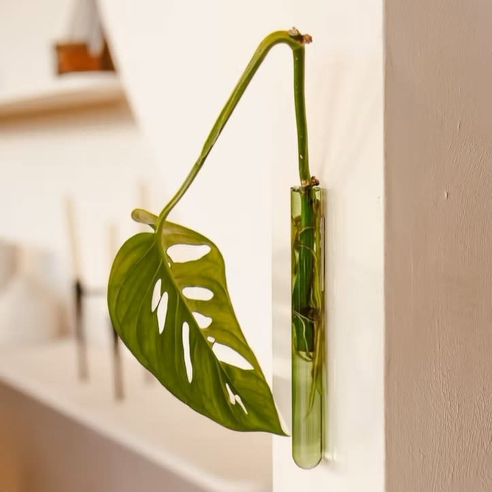 Muurbloem Muurvaasje 1 stuk - groen