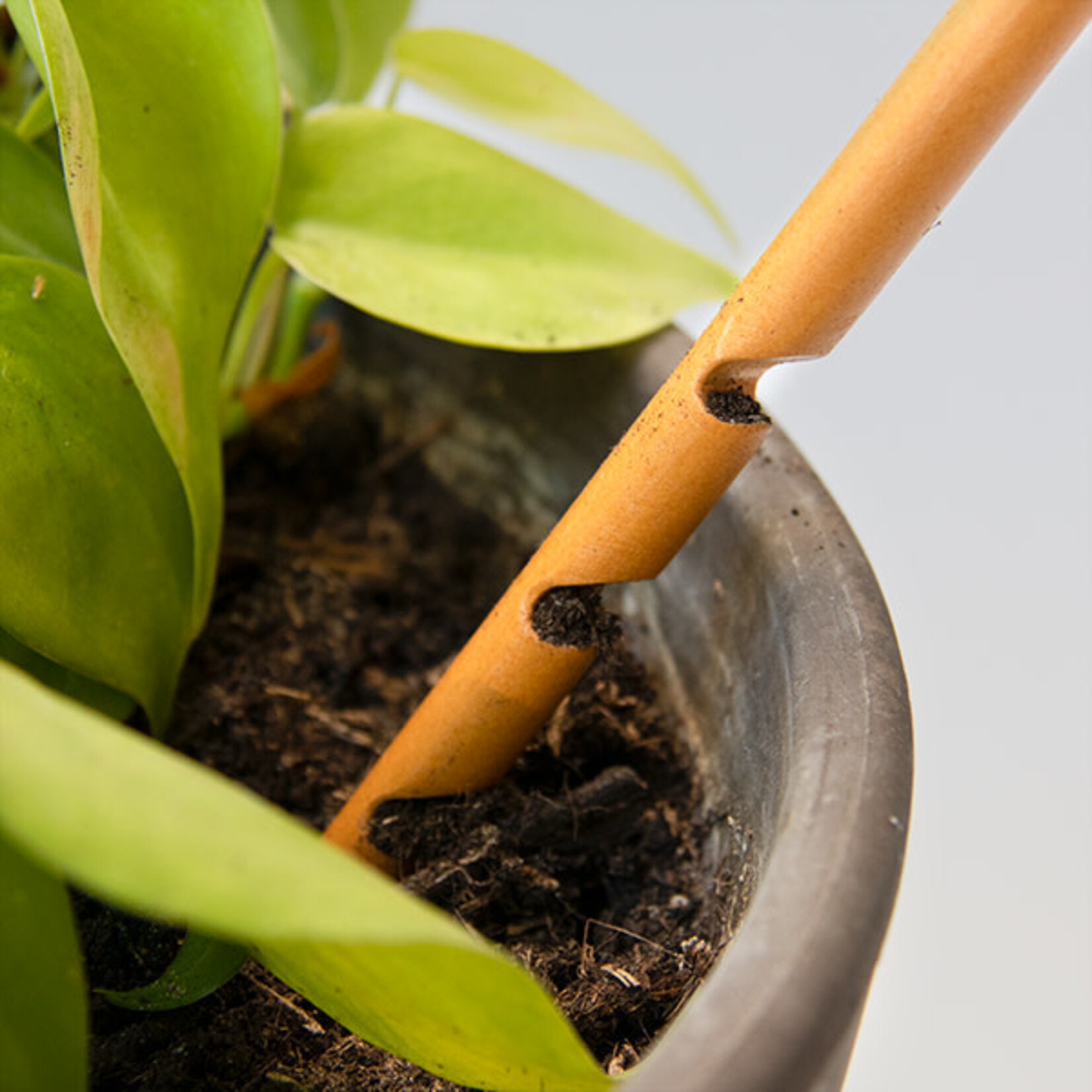 Botanopia Soil checker