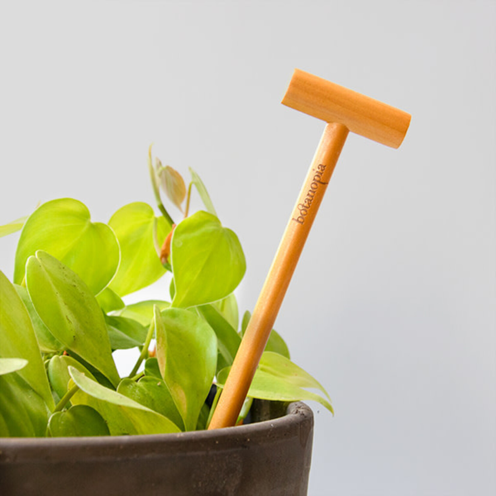 Botanopia Soil checker