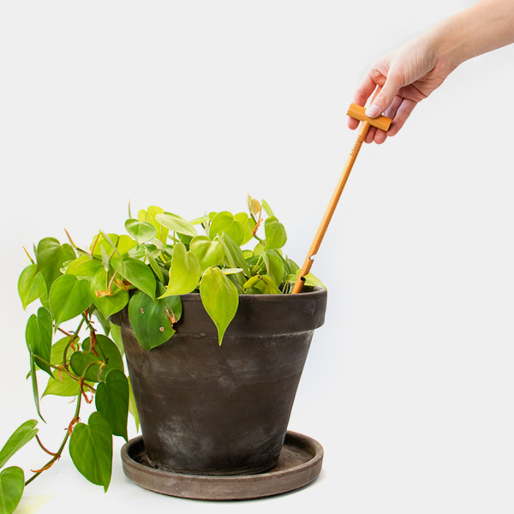 Botanopia Soil checker