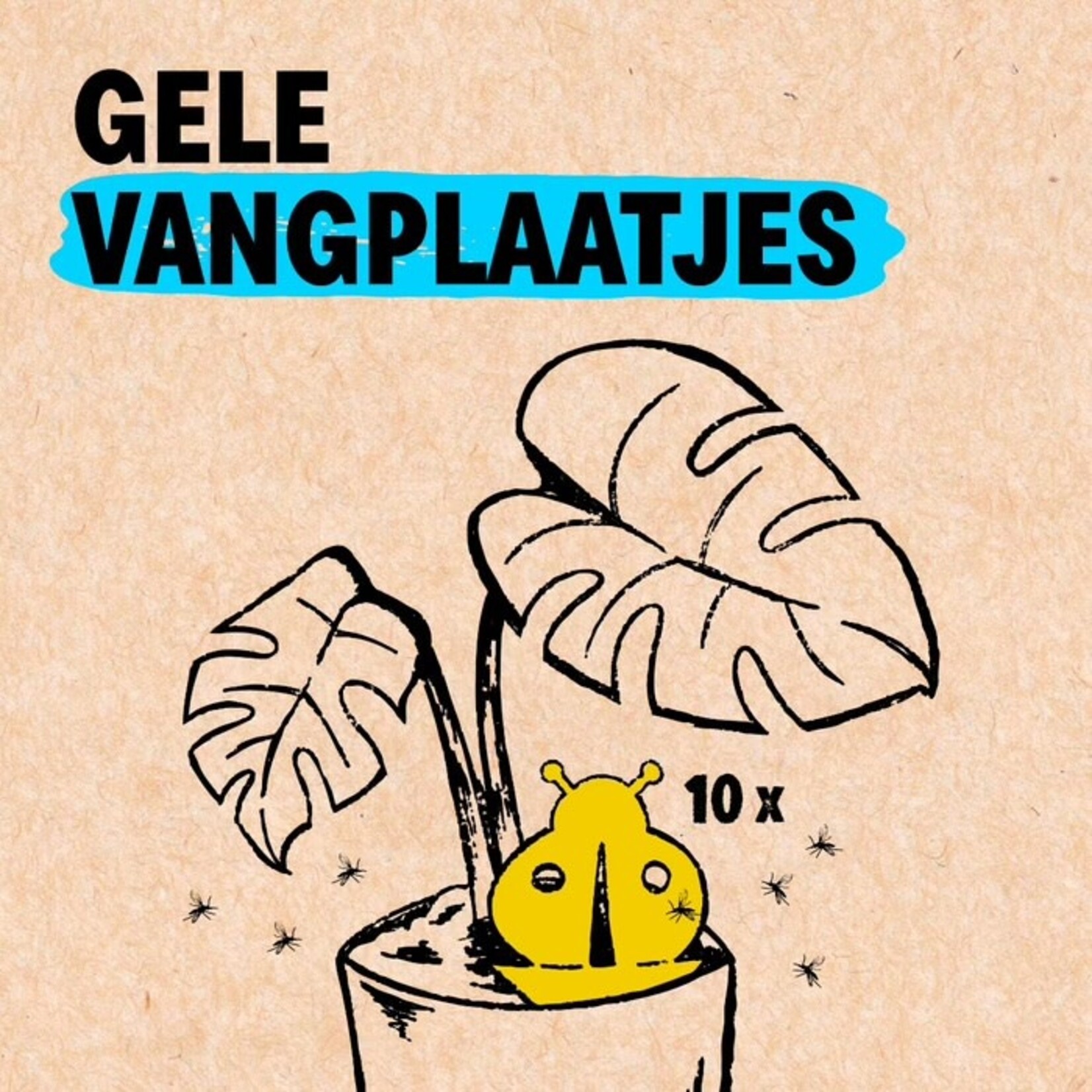 Fixum - Vangplaatjes rootsum