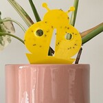 Fixum - Vangplaatjes rootsum