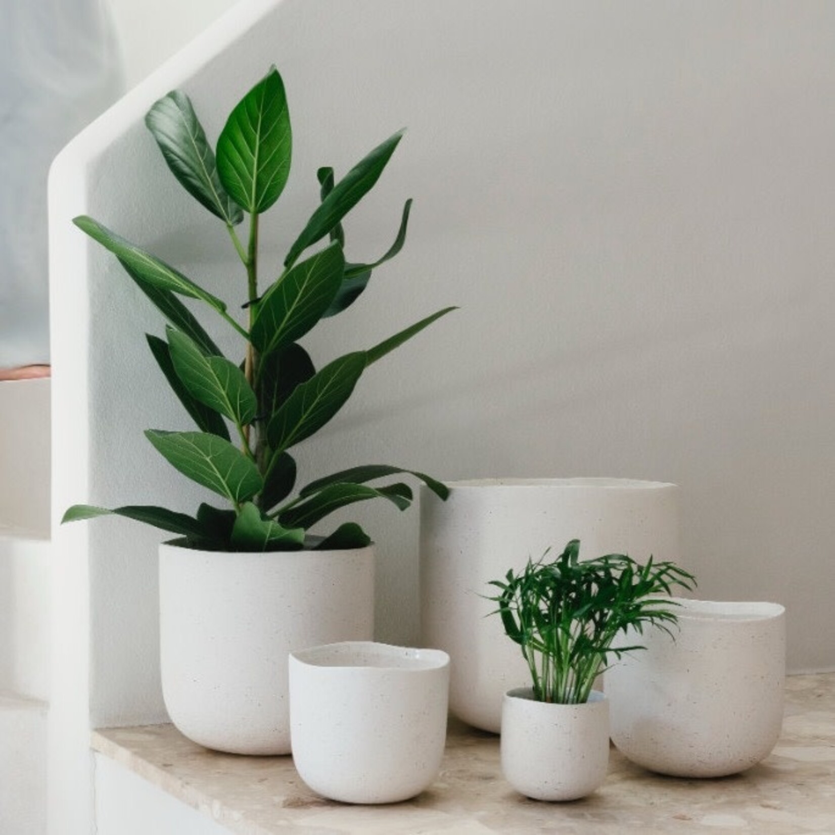 D&M Depot Lily wit - Ø26