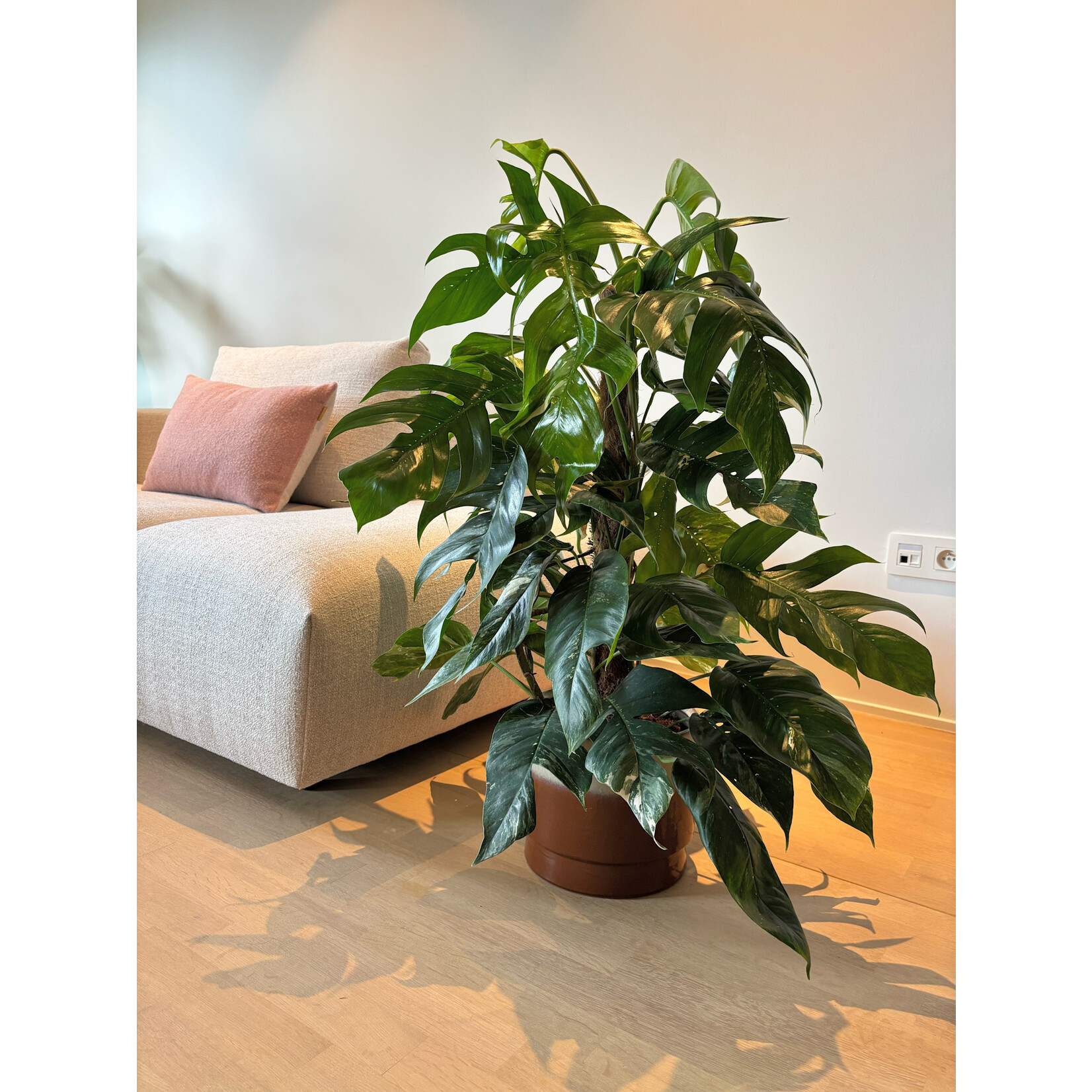 Ceramics Limburg Robusto pot duo terra - Ø26,50