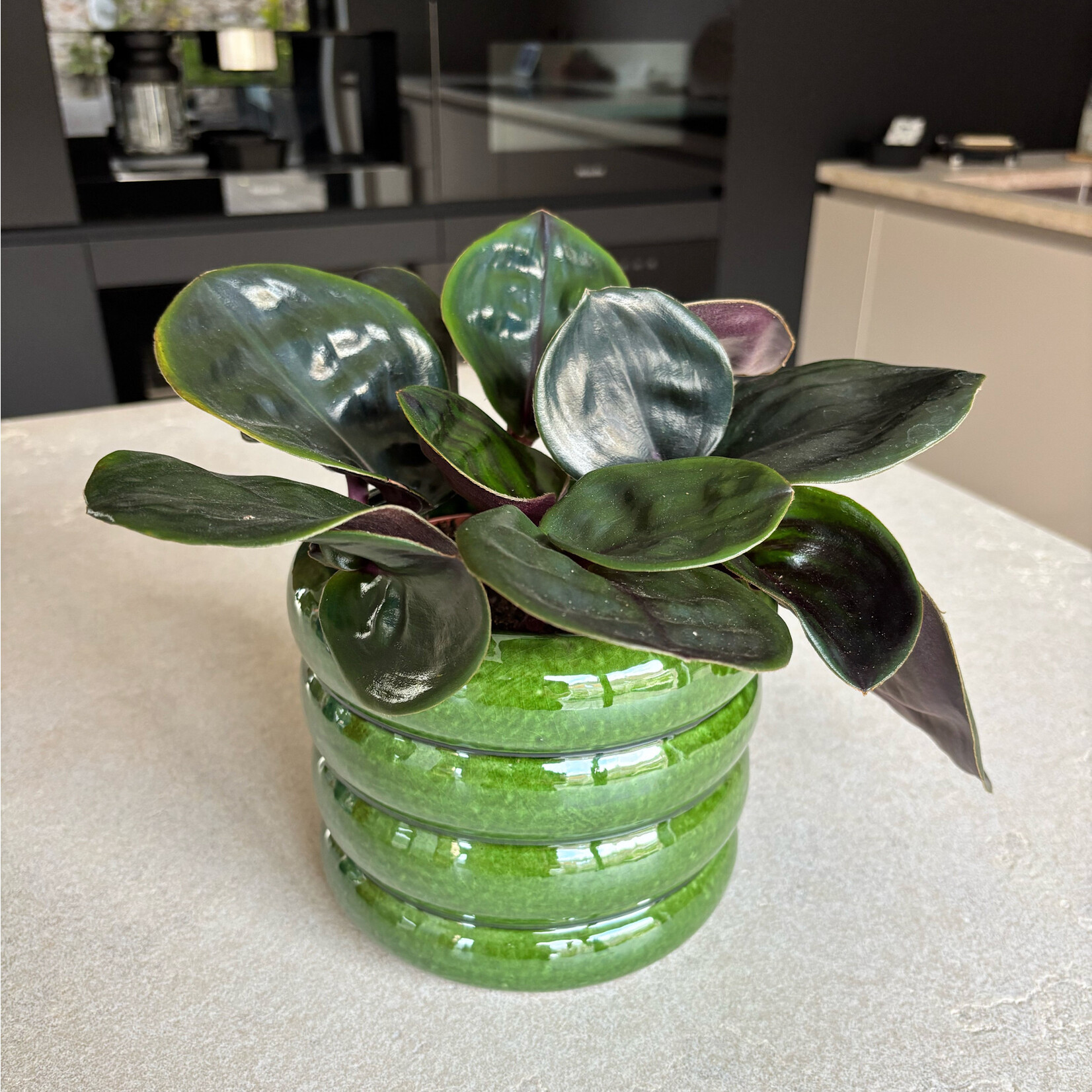 Ceramics Limburg Bubbee green -  Ø12