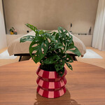 Que Rico Plant pot Teodoro