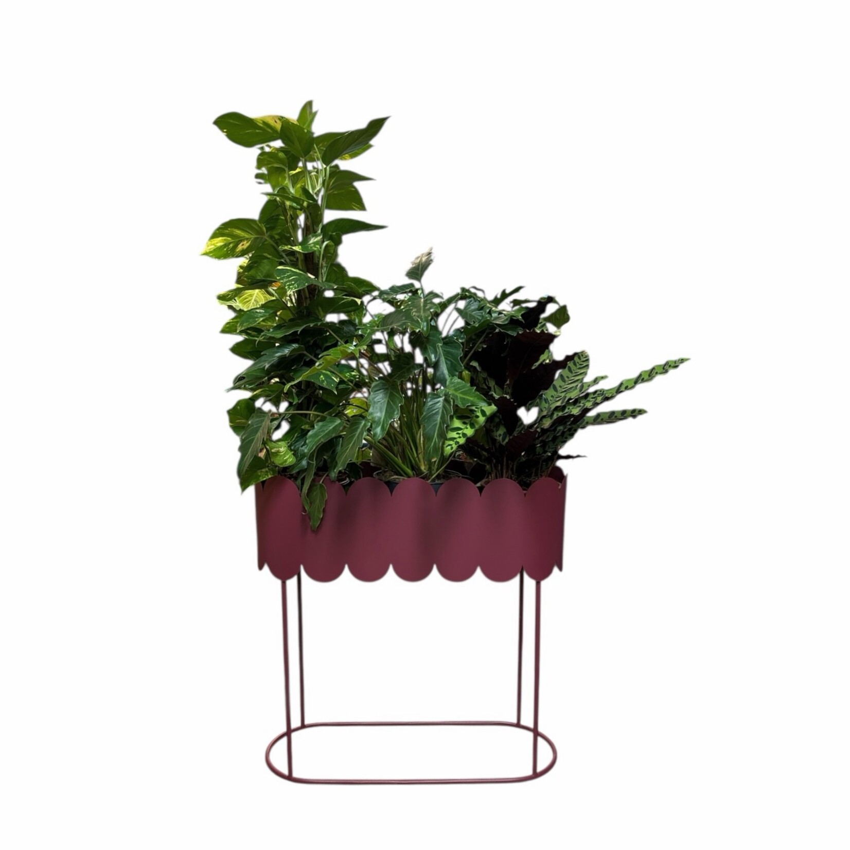 Metal stand Burgundy - extra  Lang