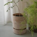 Bergs Potter Hoff pot rose met rose schotel - Ø19