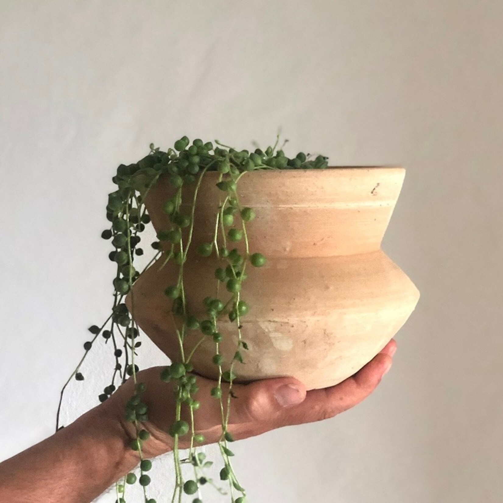 Terracotta Nilo  - Ø14