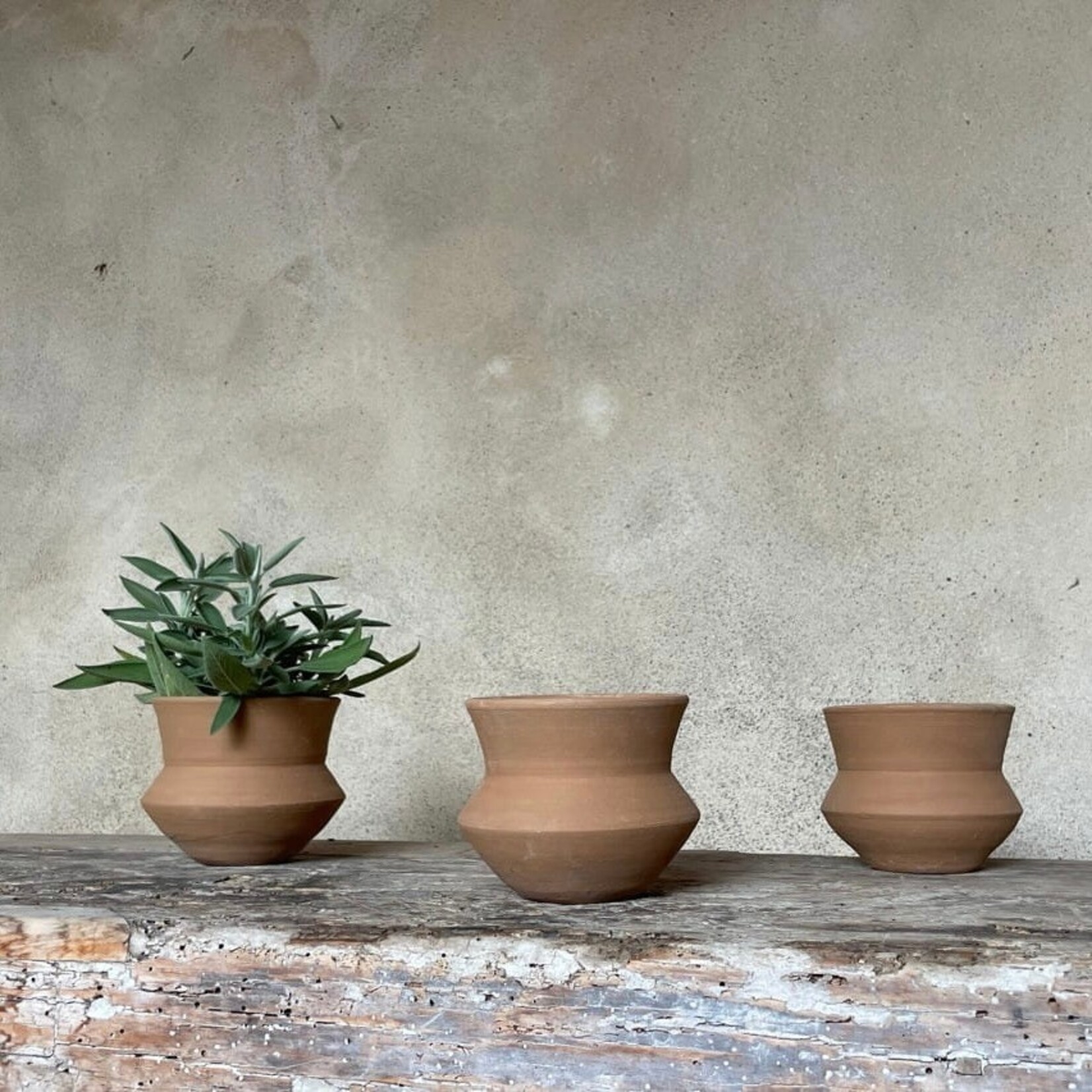 Terracotta Mini Nilo -  Ø08