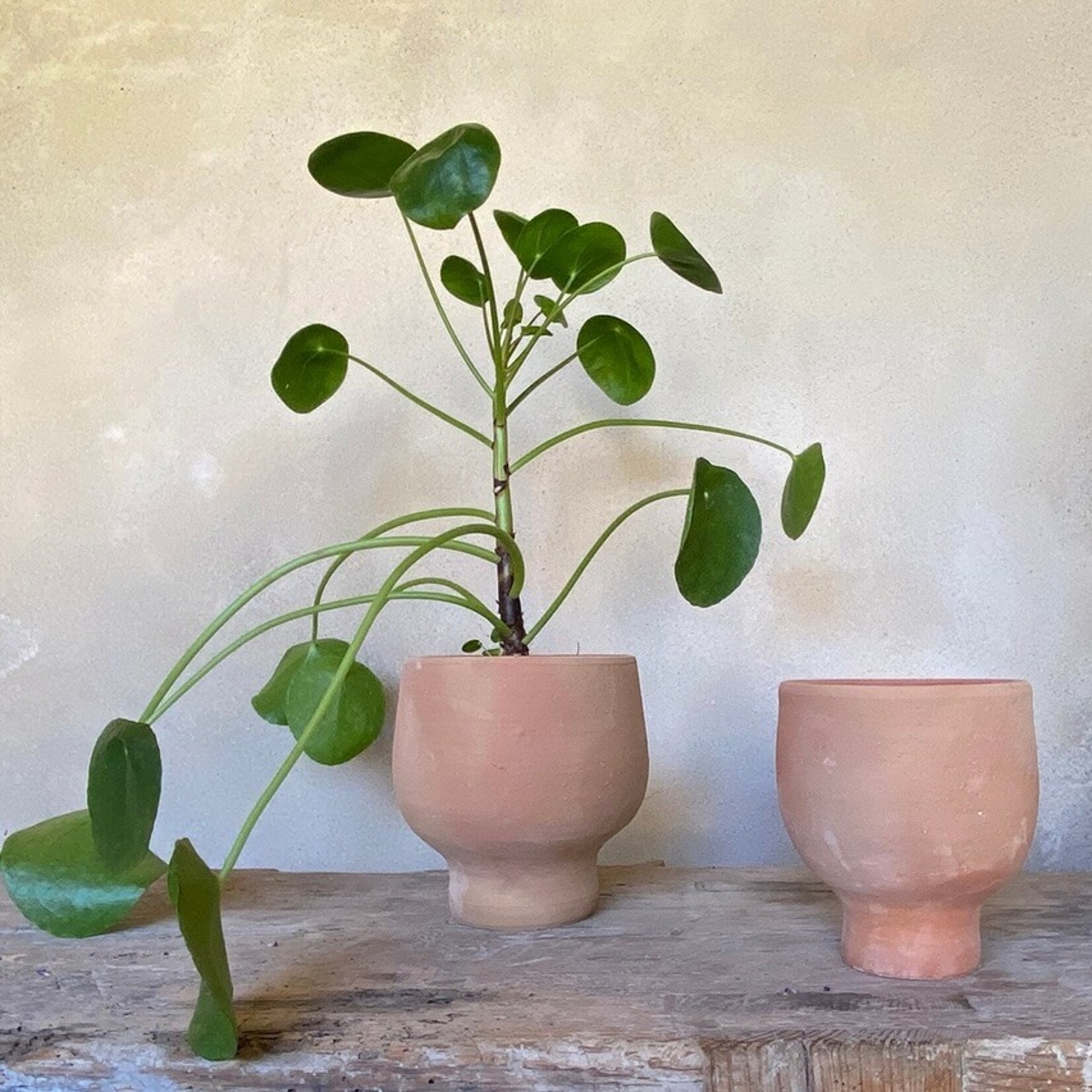 Terracotta Leg round  Ø14