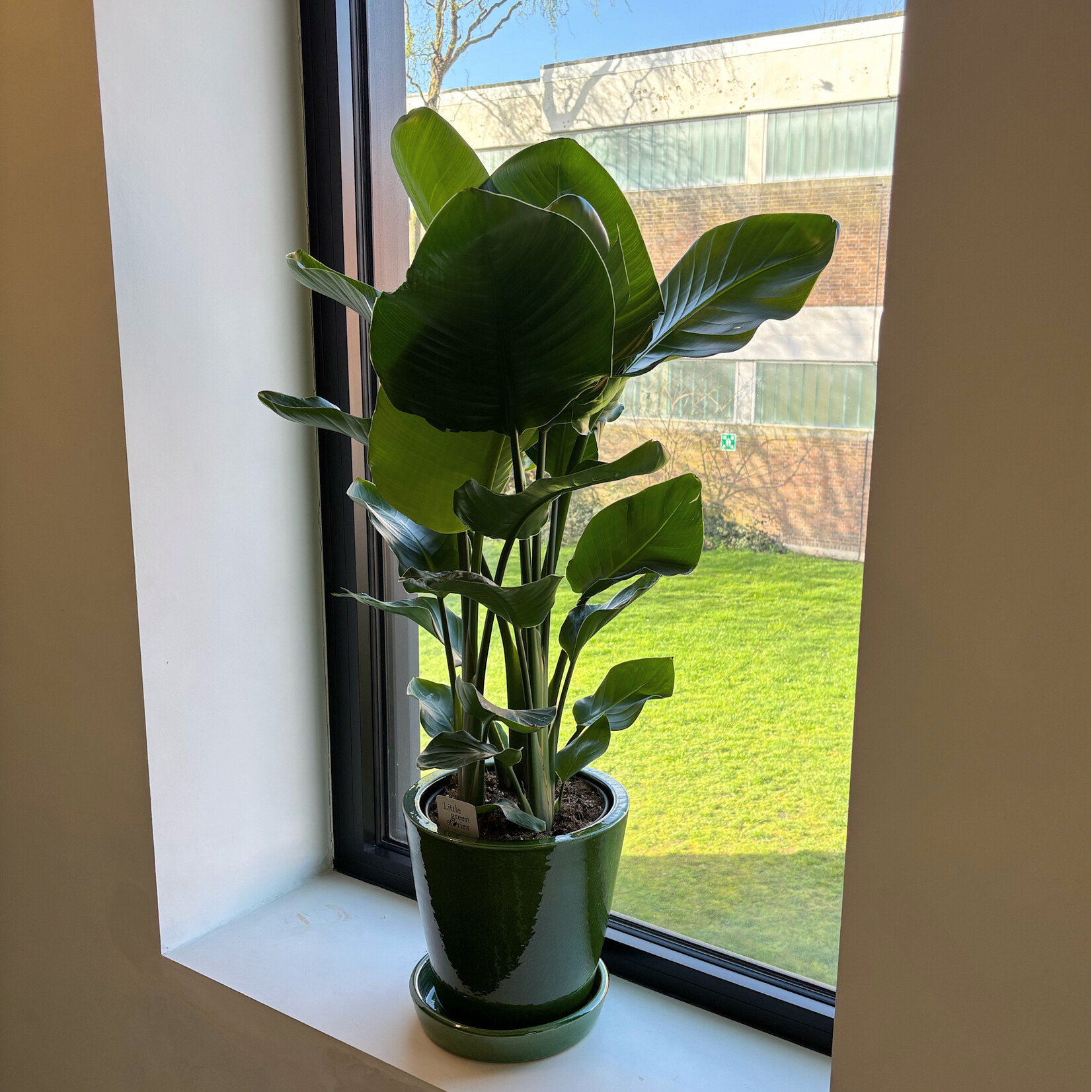 Ceramics Limburg Vibe pot green - Ø24