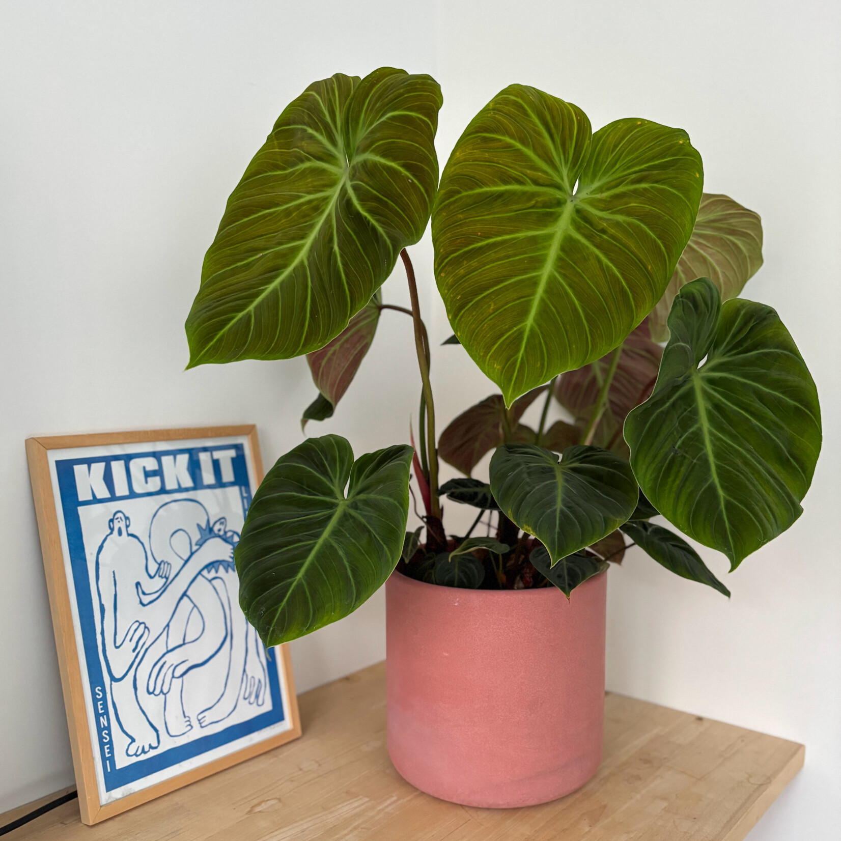 Blokko Terracotta  XL - Ø25