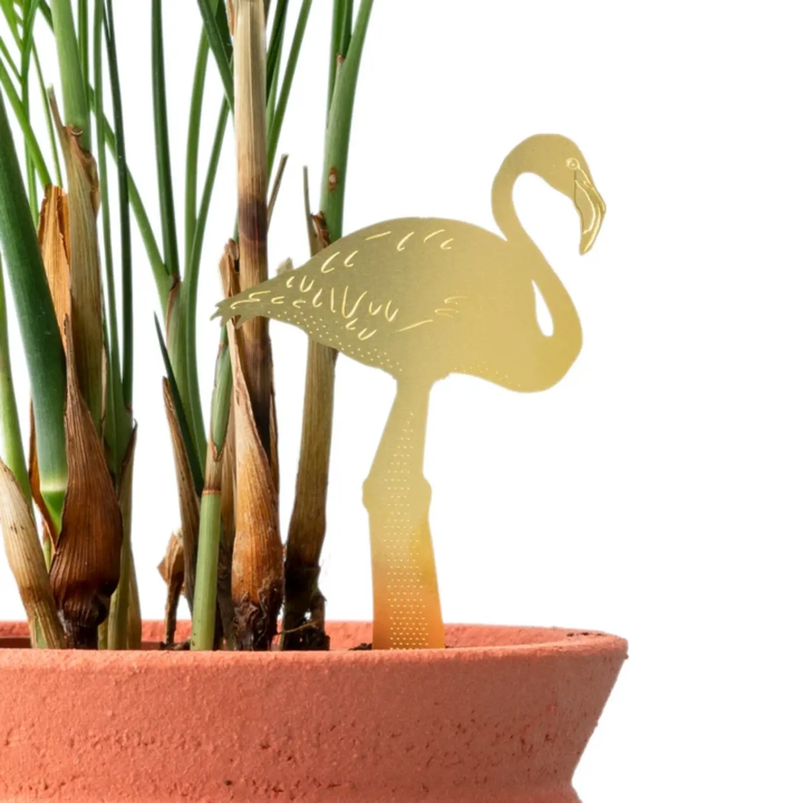 Another Studio Plant animal - FLAMINGO