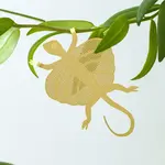 Another Studio Plant animal - FLYING LIZARD
