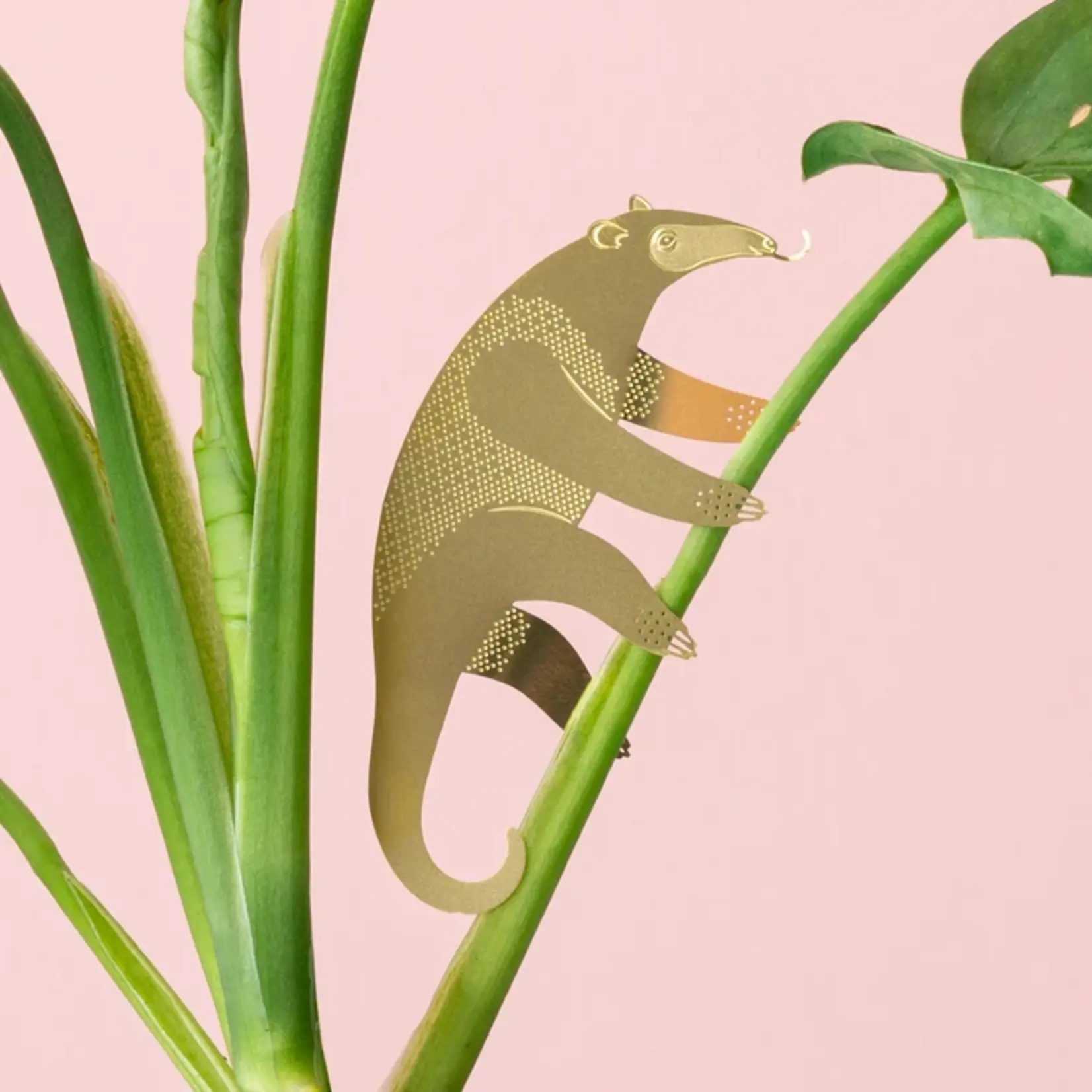 Another Studio Plant animal - ANTEATER
