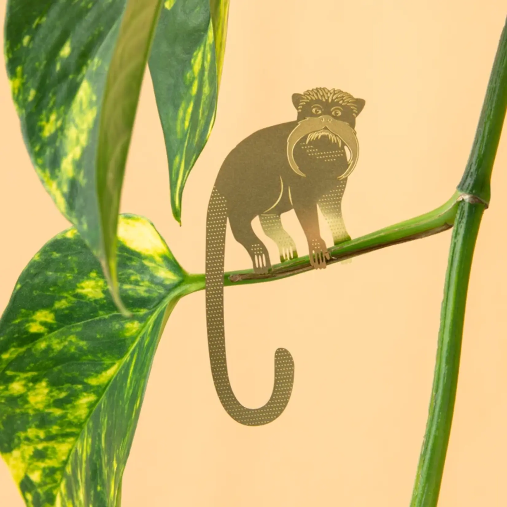 Another Studio Plant animal - TAMARIN