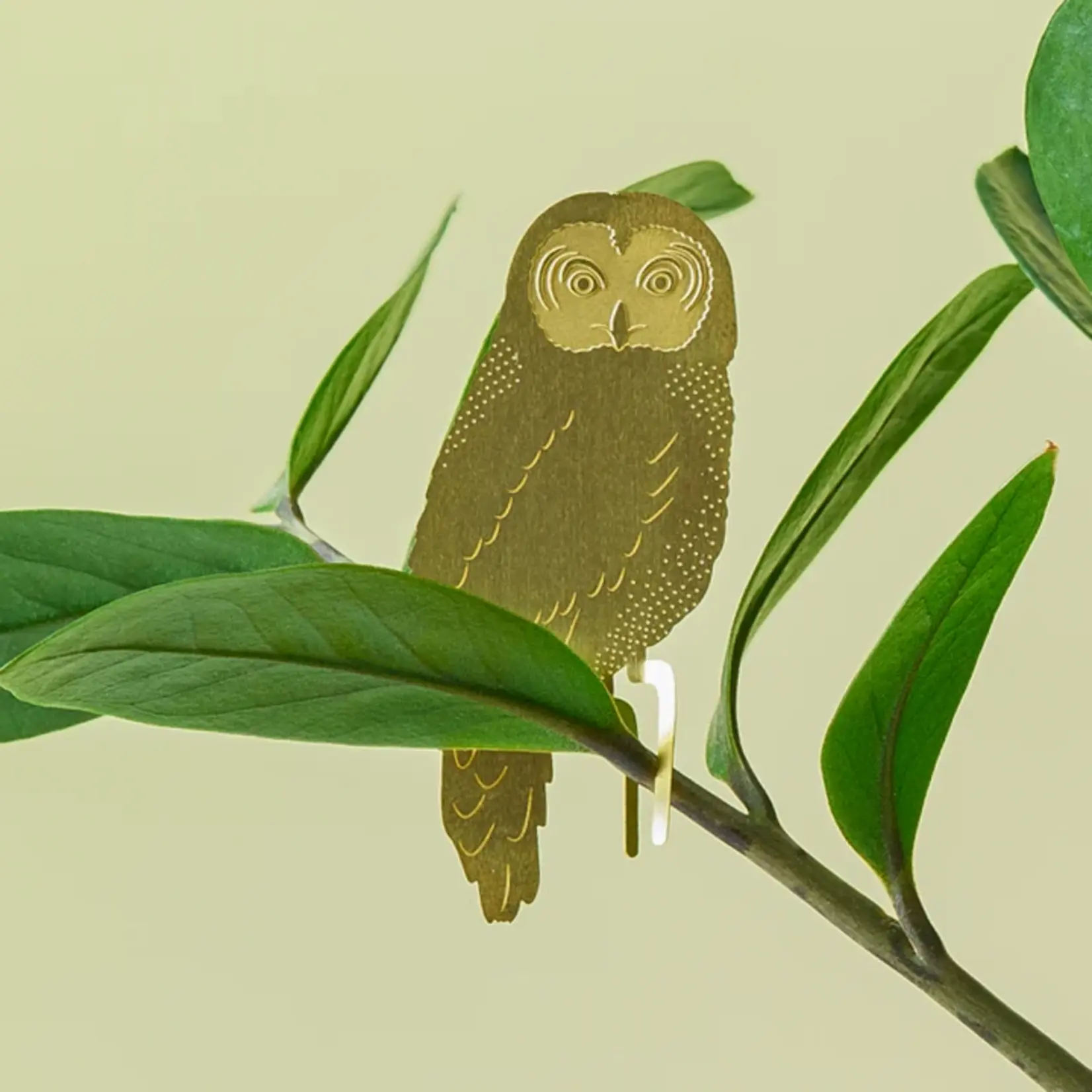 Another Studio Plant animal - OWL