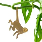 Another Studio Plant animal - MONKEY