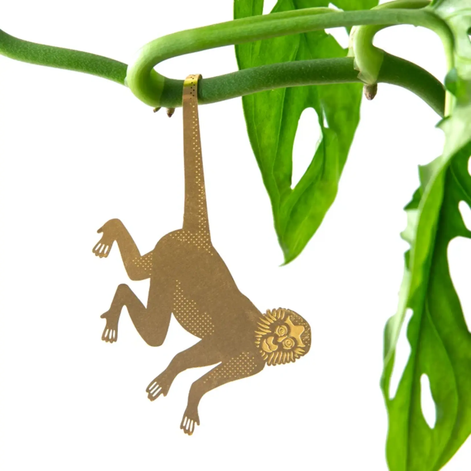 Another Studio Plant animal - MONKEY