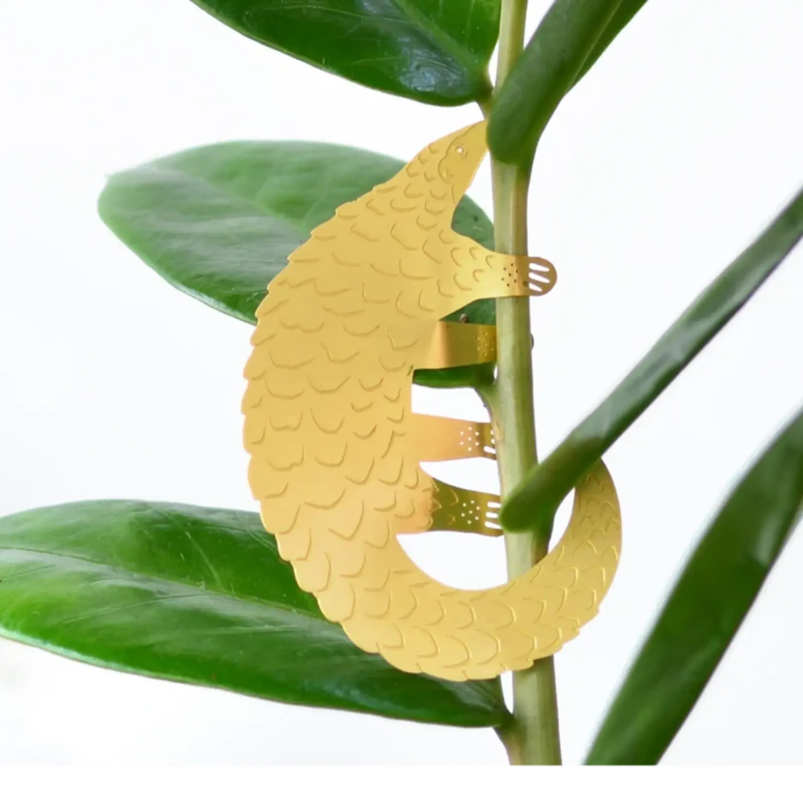 Another Studio Plant animal - PANGOLIN