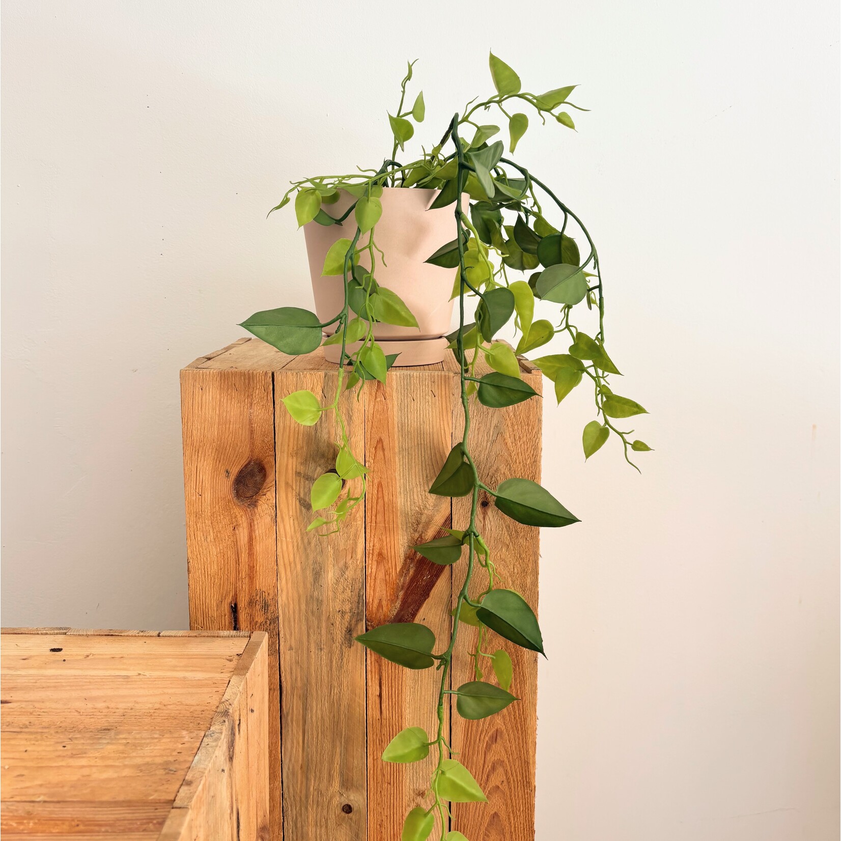 Little Green Stories Kunstplant vine spray - hangplant