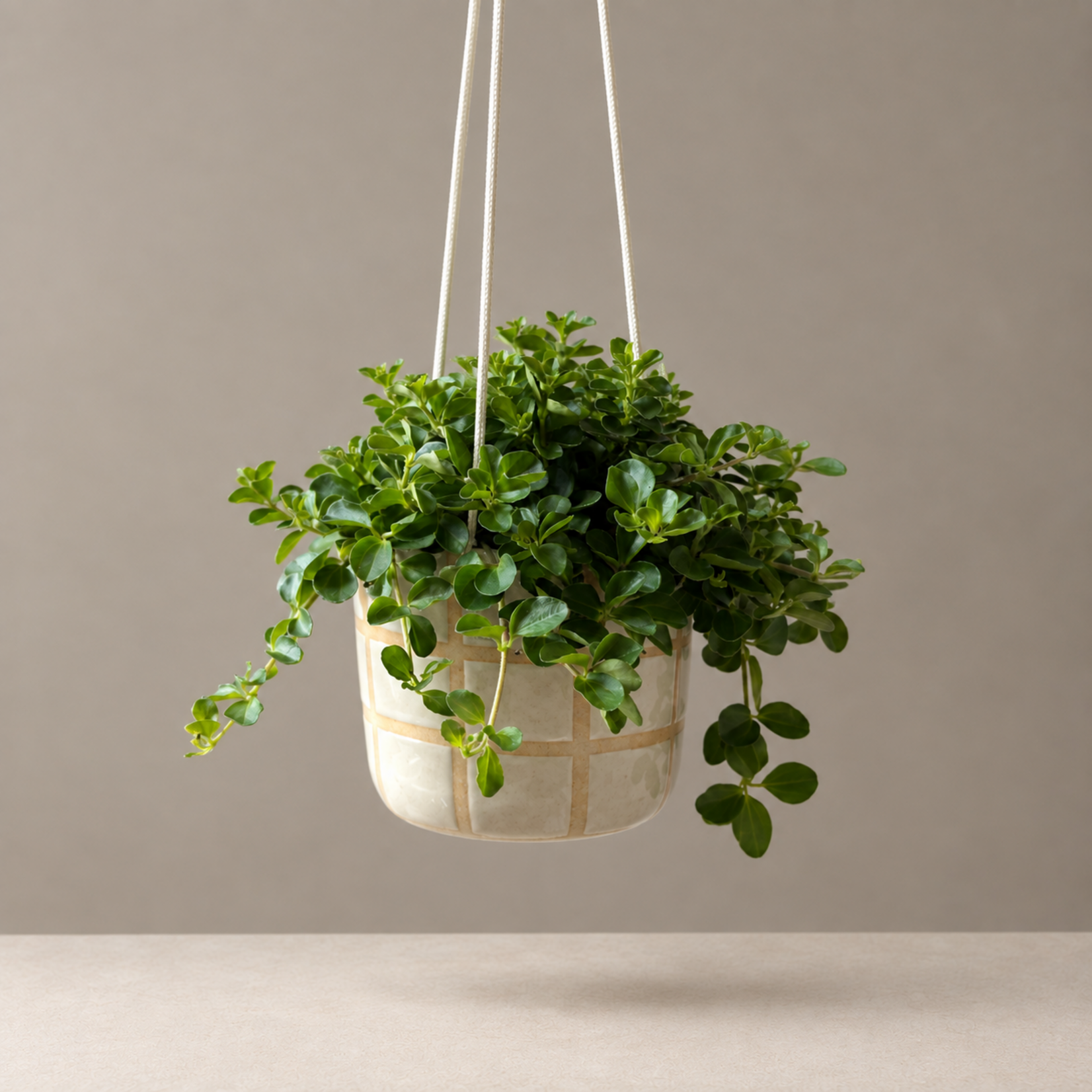 Little Green Stories Koesterhangpot S crème